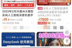 从0.01元到数万元，付费的DeepSeek课程真能学到知识吗？专家称基础使用方法可自学图片