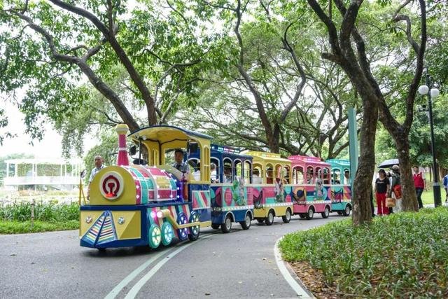 未来一个月，深圳人都往洪湖公园跑！