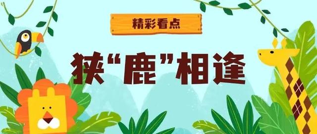 开学季福利来袭，39.9 元玩转秦岭野生动物园