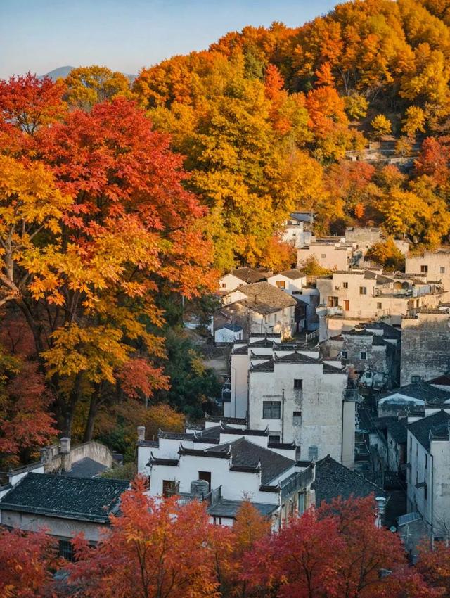 坐上“宝藏公交”，穿越赣鄱的诗意与烟火！