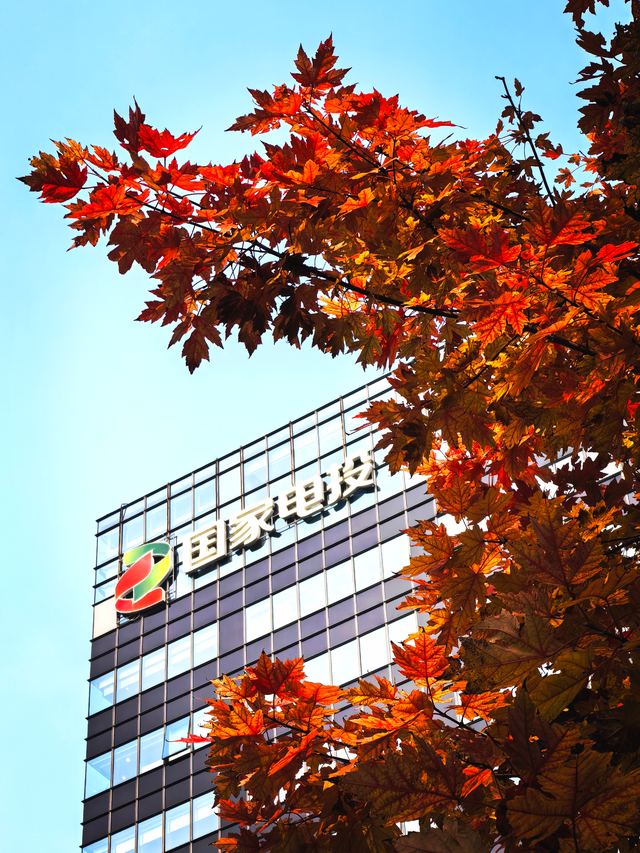 层林尽染时，邂逅北京的秋日斑斓