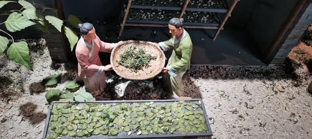 探访博物馆｜锦州博物馆：一日逛遍三万年