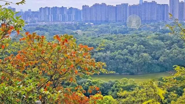 WOW，柳州超多赏秋打卡地，随手出大片！