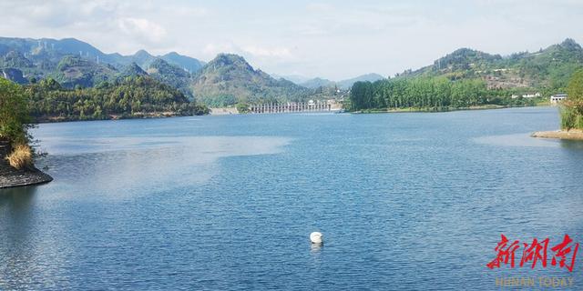 【大湖新记】栖凤湖畔百业兴