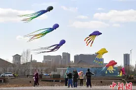 吉林长春：多彩风筝空中“飞舞”图片