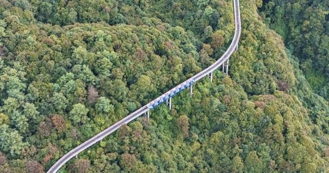 冰火共舞 野玉海如何玩转季节流量