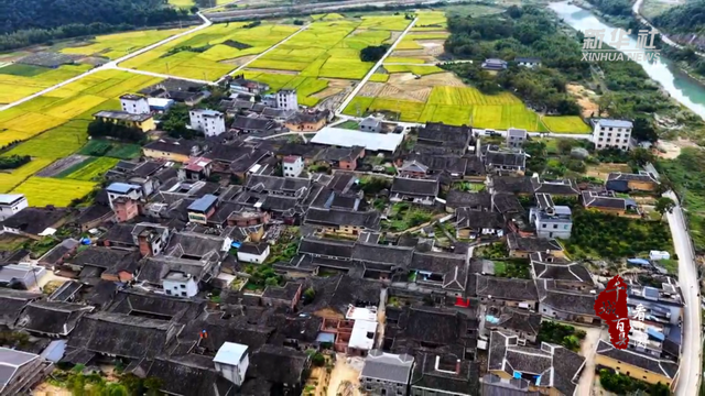 千城百县看中国丨福建霞浦：稻花香里的“丰收秘境”