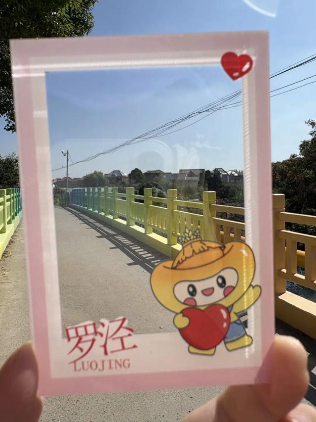 举张透卡逛罗泾！解锁宝山秋日新玩法，一起拍爆朋友圈~