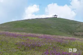 邂逅秋日贵州丨毕节10万亩韭菜花开成海，惊艳你的秋天图片