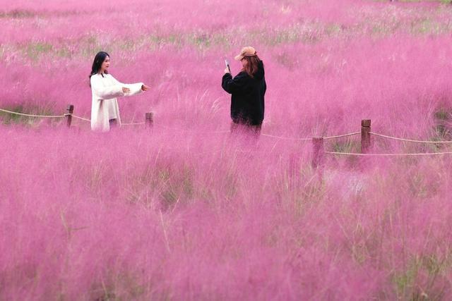 五彩斑斓好个秋