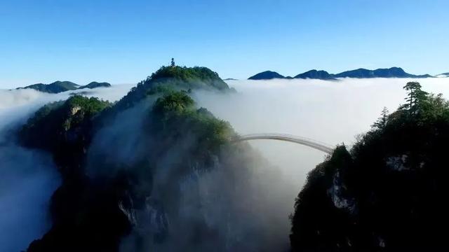 在雨中的神农架，遇见云山雾海、迷雾森林