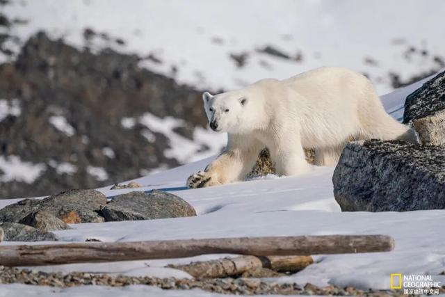 地球两端的“镜像之城”：一座最北一座最南，惊人相似