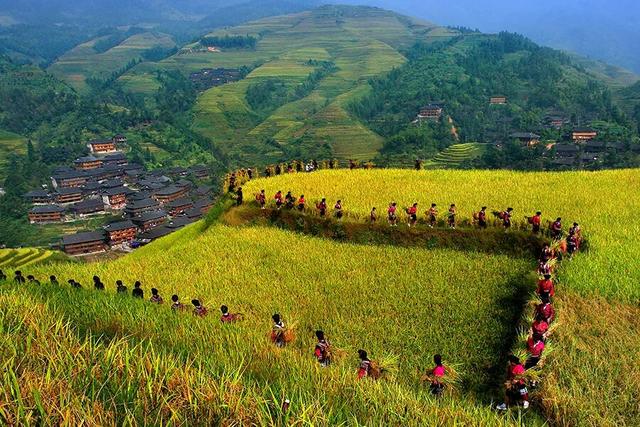 八桂秋韵！举起相机，把广西秋色拍成旅行基金！