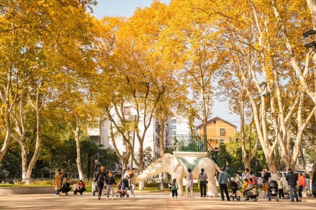 冬来秋未尽！秋天是赖上合肥了？