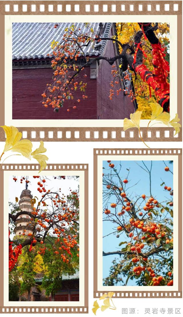 济南的秋天，大电影质感！