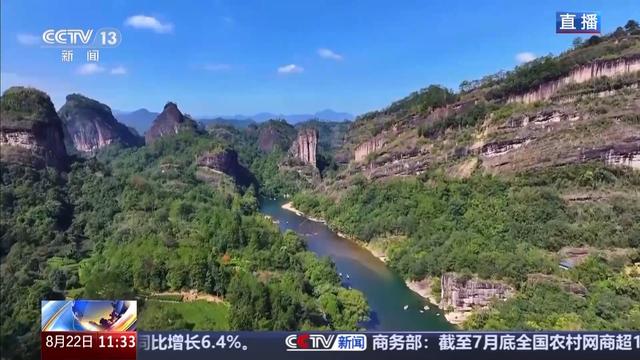 白鹇、金斑喙凤蝶、藏酋猴……看！神奇动物在武夷山
