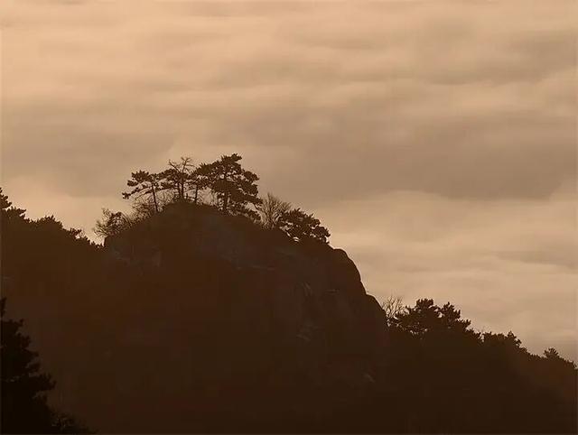 马年首场春雪后，日出云海绘就水墨美景