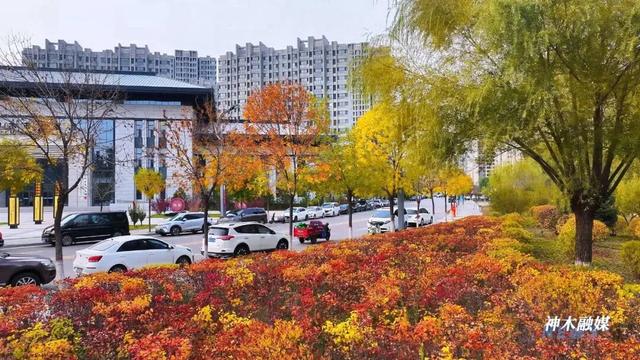 神木滨河新区秋色如画 邂逅诗意生态美景