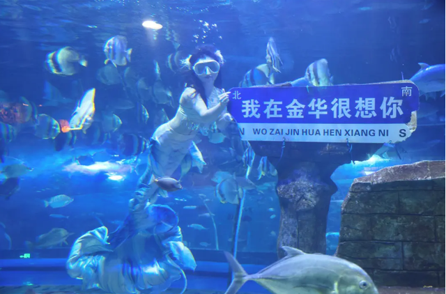 属马、姓马、名字带马 全国多地景区送出专属文旅福利