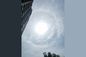 青未了|麦收时，天际有彩虹升起图片