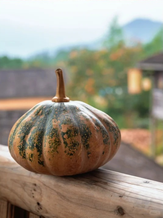 追柿归来！屏南3个古村落亲测好拍好玩好美！建议两天一夜游