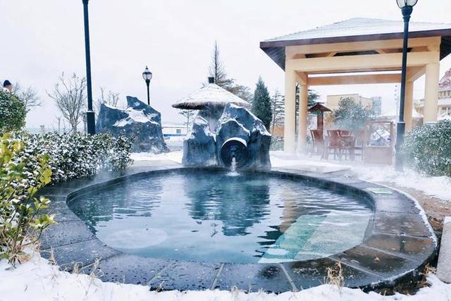 温泉袅袅、候鸟翩翩、冰雪灼灼——这个冬天，齐鲁大地邀你来场“冷”与“暖”的双重奔赴