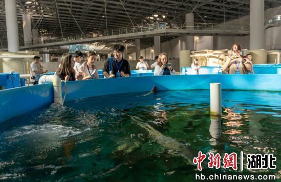 “领航计划”青年科技人才国情研修活动启动