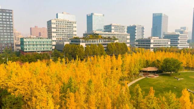 这里藏着最治愈的周末时光！