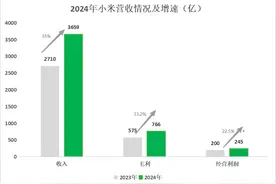 雷军一年攒了400亿图片