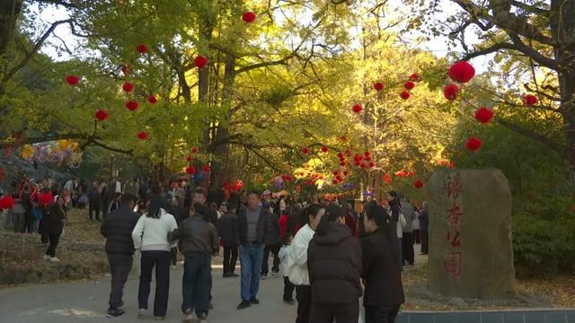 人从众嗨翻全场！带你直击大田广平银杏孝文化节～
