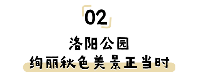 洛阳8天，根本不够玩！