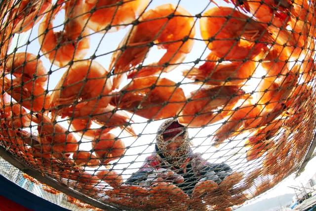 这座宝藏海岛，很“nice”！