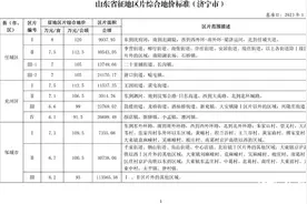 最新征地标准来了！济宁市一类区片地价为8万元/亩图片