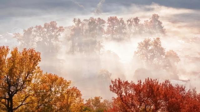 “秋假”第一站！上饶把最美的颜色，“晒”给你看