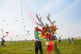 万物皆可飞：潍坊国际风筝会上“显眼包”云集图片