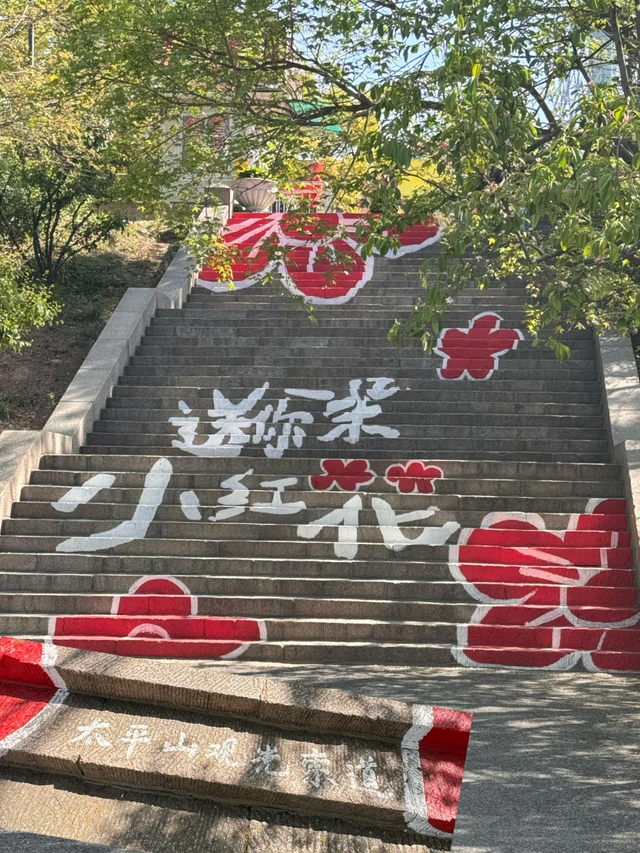 “青岛之夏”太平山索道空中海洋主题灯会点亮夏夜！