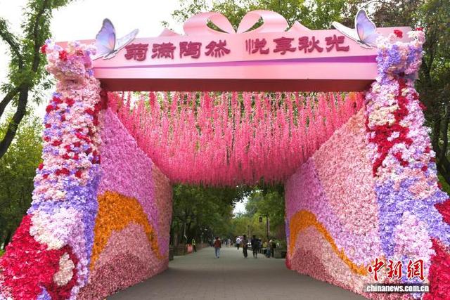 北京陶然亭公园菊花文化节启幕 20余万株秋日花卉扮靓园林