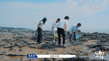 新华社携手董宇辉，走进广西的蔚蓝海岸……