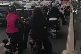 随机出现在北京的机动车道或者非机动车道上，它们究竟该走哪里？图片