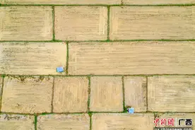 贺州市八步区绘好春耕图 孕育丰收景图片