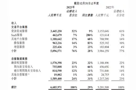 易鑫集团2023年毛利率下滑：收入67亿元助贷业务贡献过半 期末借款总额激增近九成图片