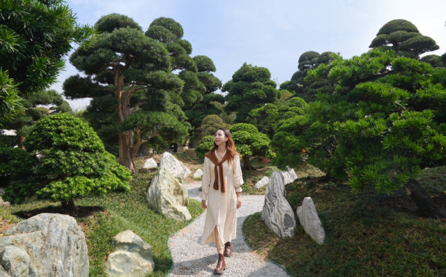 国庆就要玩好一点，“情”定陈村花花世界迷人眼
