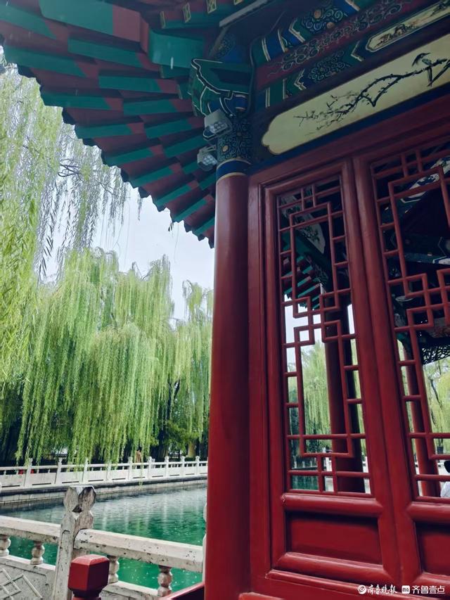 双节拍 | 雨中逛一逛，济南四大泉群之一——珍珠泉