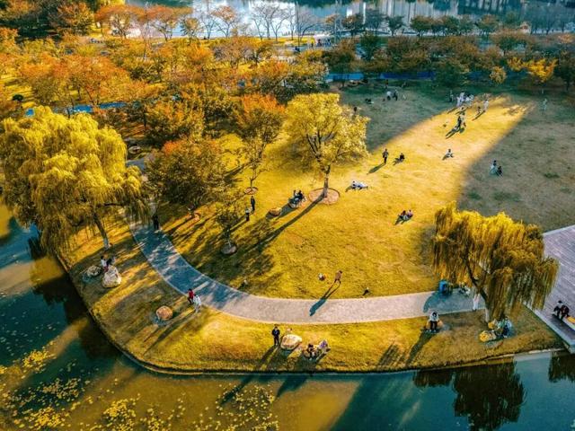 在江汉，听见公园里的秋色私语