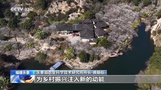 嗅梅香、赏梅韵 “梅”好时光激活周末经济