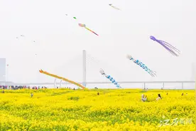 放飞风筝 乐享春光图片