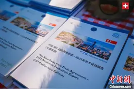报告：中瑞自贸协定十年来为两国企业带来新机遇图片