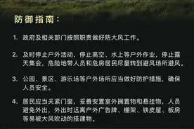 局地10级以上！郑州市气象台发布大风黄色预警信号图片