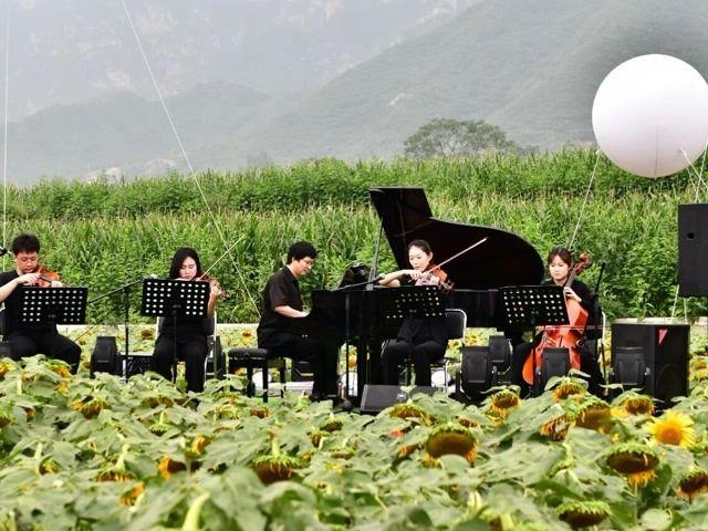 北京号最精彩 | 升级扩容！2025“我与地坛”书市逛购全攻略
