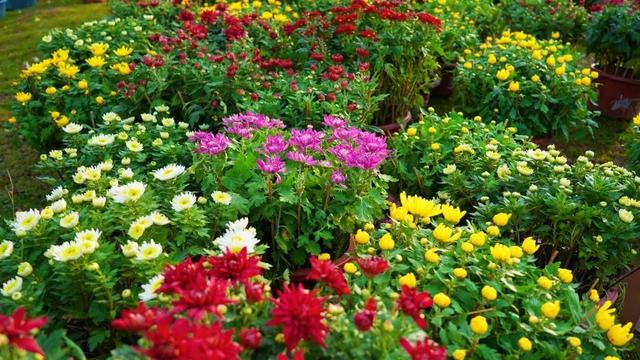 现在的黔南，已经美成这样了→